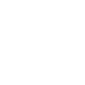 ferreira