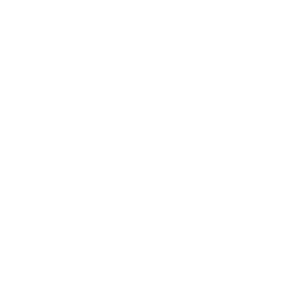 toledo